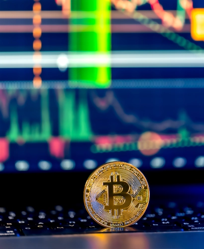 Spot +700 Fanda Crypto Trading Information